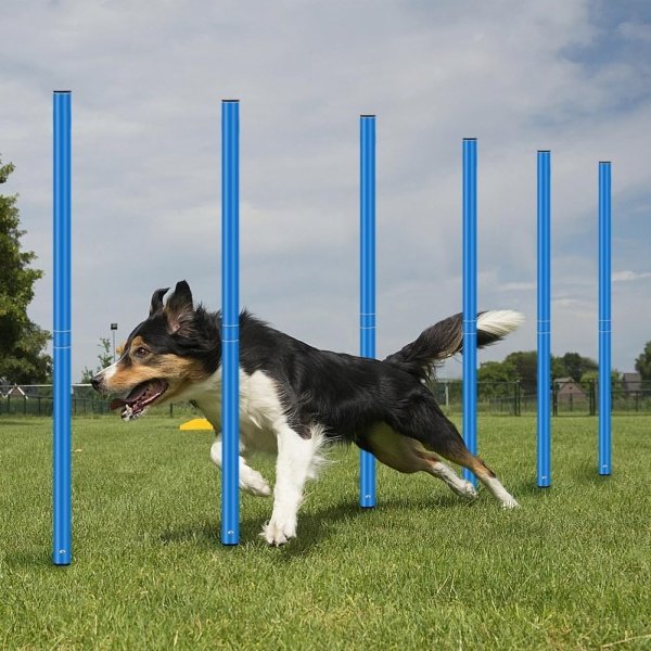 HOTOOLME Agility Training Poles Equipment Soccer Training Equipment - Image 7